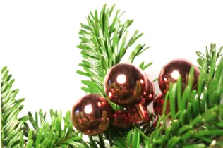 Tannengrün. Wir verpacken auch Weihnachten